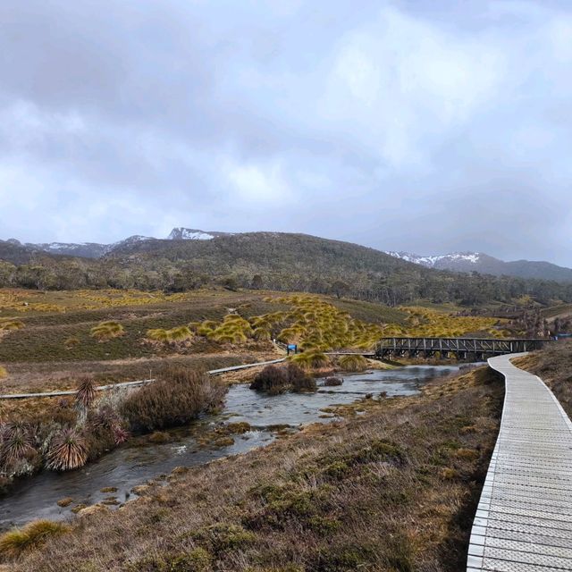 Tasmania Cradle mountain 