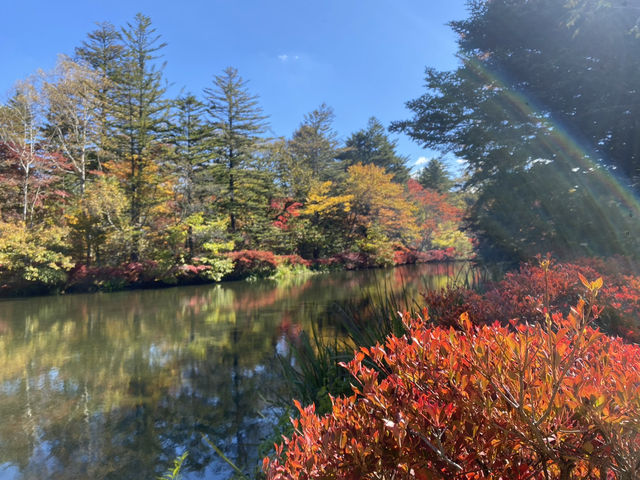 輕井澤雲場池🍁