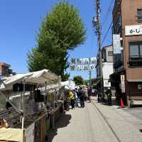 ทาคายาม่า(Takayama) 