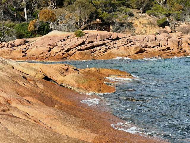 Honeymoon Bay: A Serene Tasmanian Escape