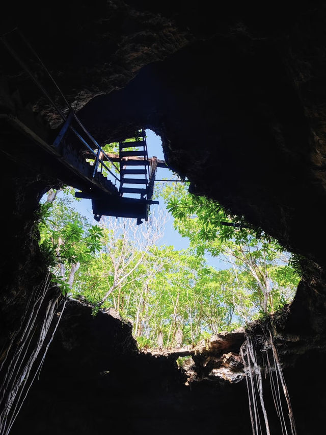 Dive Into Magic: Exploring the Enchanting Gran Cenote