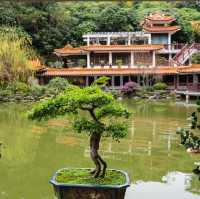 仙湖植物園（Xianhu Botanical Garden）：自然與生態的美麗結合