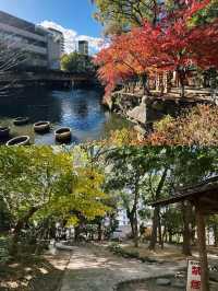 Serenity and History at Ikuta Jinja in Kobe