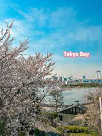 Tokyo: Best Cherry Blossom Photo Locations (Part 2) 🇯🇵