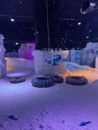 The Ice Kingdom 