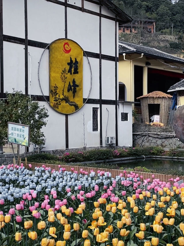 鄉村遊｜福建小婺源-桂峰古村