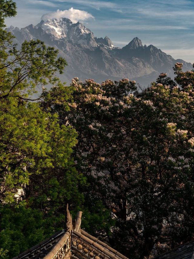 🌟 Lijiang's Hidden Gem: Qianxue Castel 🌟