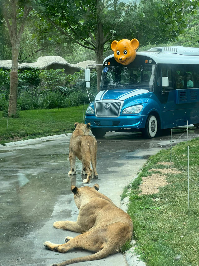 北京動物園