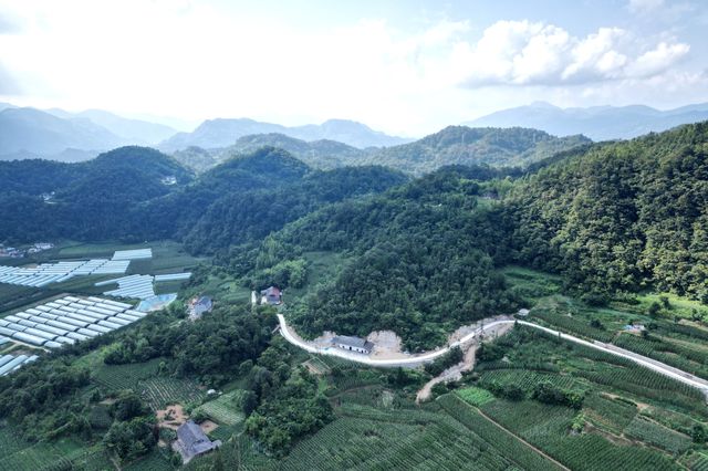 這裡被譽為最美茶園——老霧沖景區。