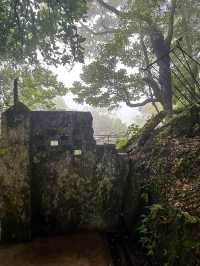 A Rainy Day at Victoria Peak Garden