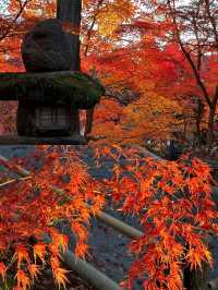 京都賞楓葉‖南禪寺旅遊打卡避坑攻略。