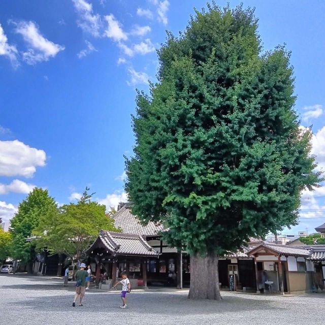 清水寺，二年坂三年坂