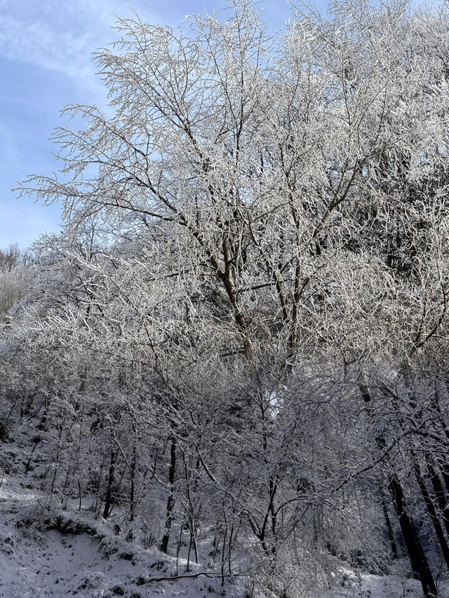 西安翠華山滑雪場 | 冬日裡的速度與激情