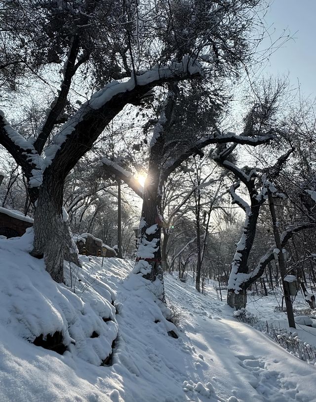 烏魯木齊水磨溝公園｜冬日裡的冰雪童話與人文之旅