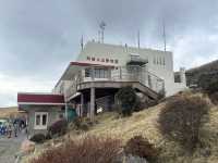 「草千里」：阿蘇火山地區的壯麗草原，四季風景、野生動物和戶外活動的天堂