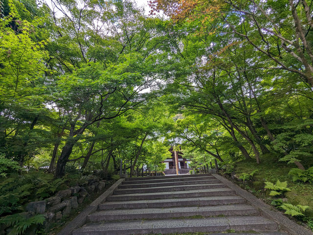 日本京都-古寺池水映秋色的賞楓名所：永觀堂