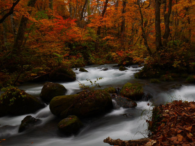 【青森】絶景！紅葉も青森へ