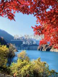 【群馬×秋】  《奥四万湖》   真っ赤な紅葉と四万ブルーの絶景