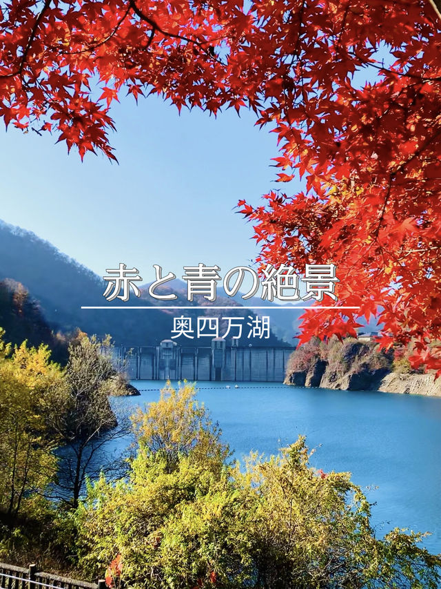 【群馬×秋】  《奥四万湖》   真っ赤な紅葉と四万ブルーの絶景