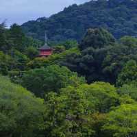 探訪清水寺：歷史與美的交匯