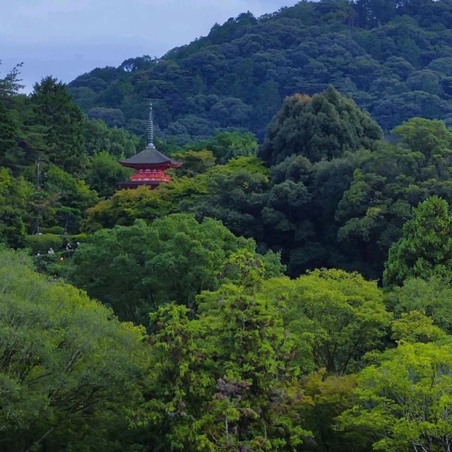 探訪清水寺：歷史與美的交匯