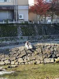 Takayama: A Day of Charm and Serenity