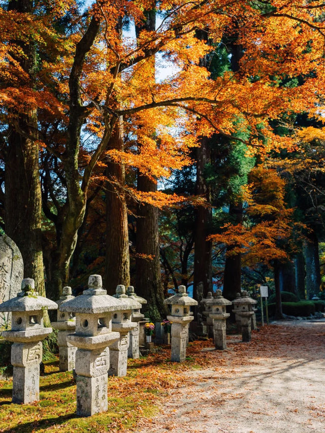 景點推薦：雷山千如寺——福岡紅葉名所與古老禪境