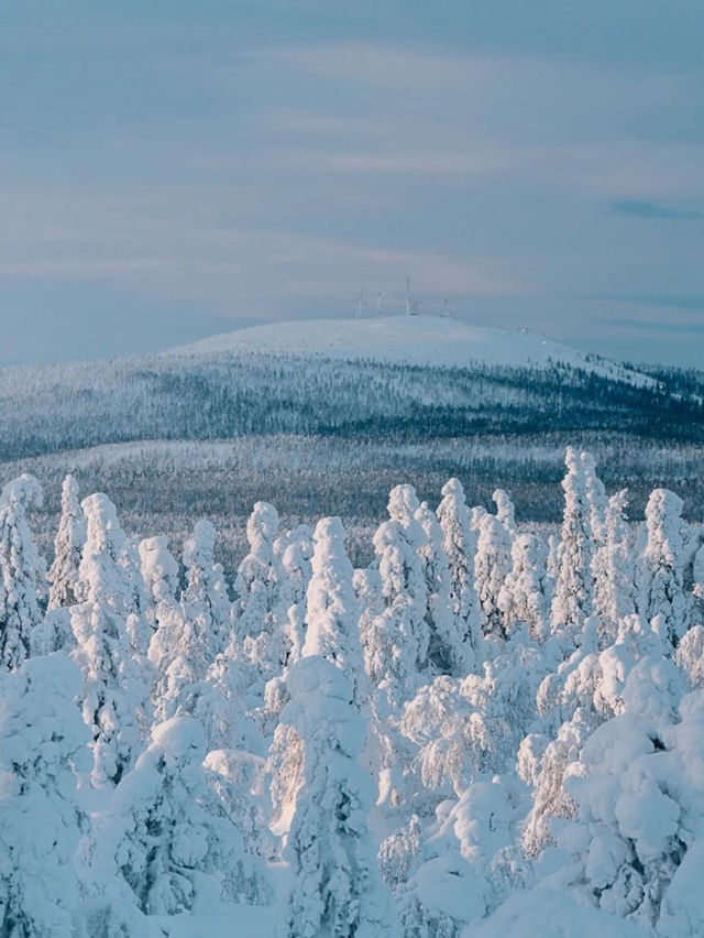 Hiking in the Snow in Finland: A Winter Wonderland Adventure