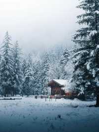 Winter Wonderland: Exploring Berchtesgaden in the Snowy Season