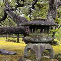  二條城（Nijo Castle）：京都的歷史瑰寶