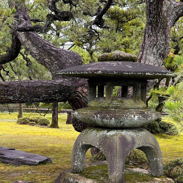  二條城（Nijo Castle）：京都的歷史瑰寶