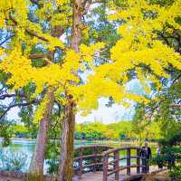 《探索福岡的綠洲——舞鶴公園之旅》