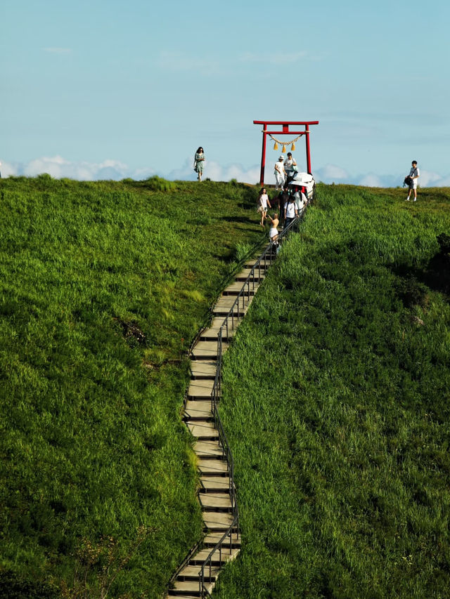 Izu Peninsula: A Scenic Escape with Orumoyama Charm