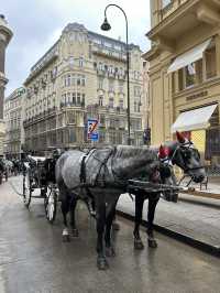 Vienna: Eastern Europe by history, Western Europe in essence 