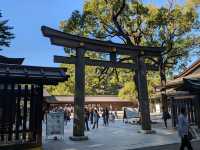 Serenity in the Heart of Tokyo