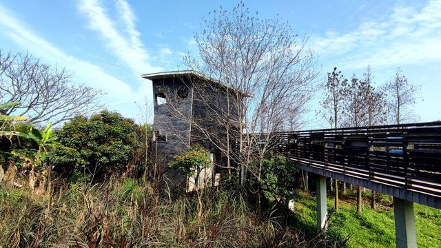 不容錯過的海珠國家濕地公園南區