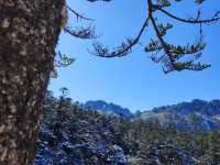 只有到達山頂，才能看見的風景