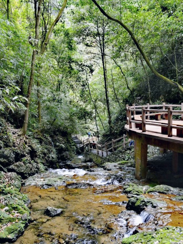 黑山谷|打卡重慶黑山谷風景區