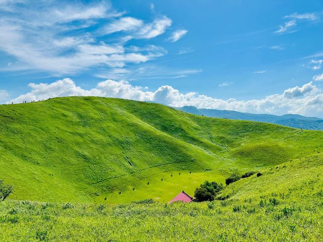 伊豆大室山｜日本抹茶山。