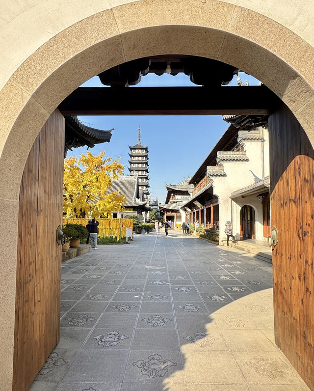 千年古剎 真如寺 650 歲的銀杏黃了