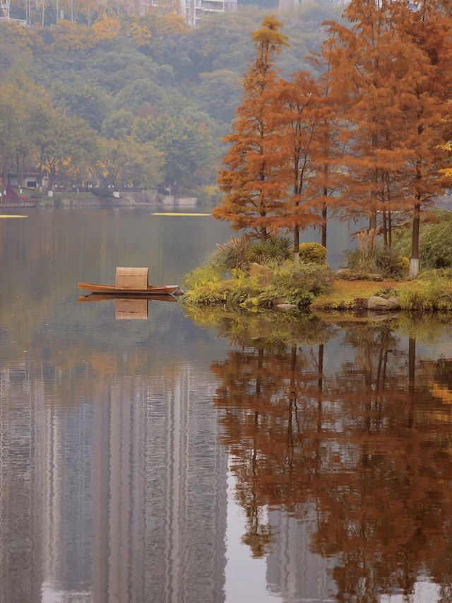 重慶彩雲湖濕地公園