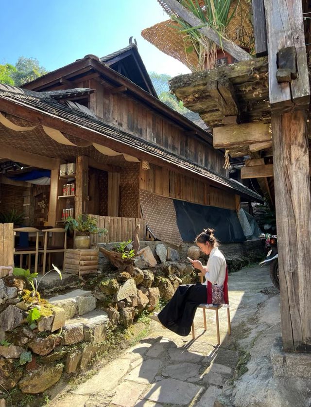 雲端之普洱景邁山