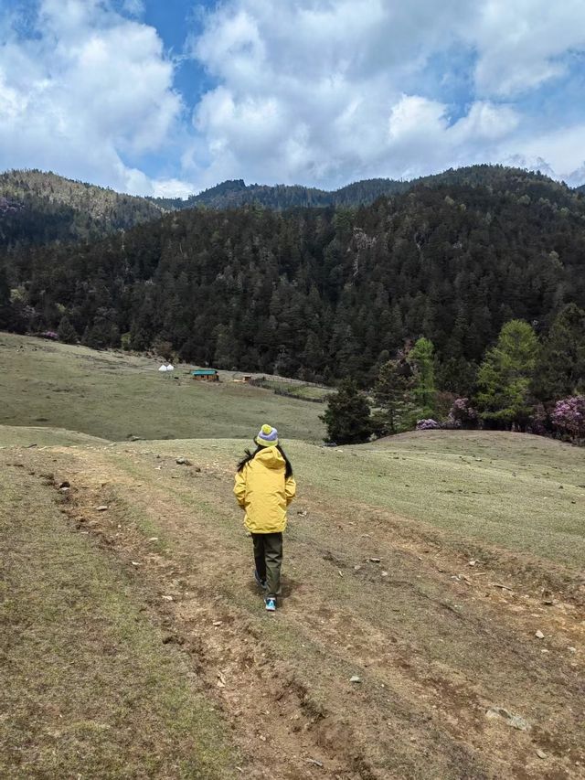 藏在哈巴雪山腳下的童話營地