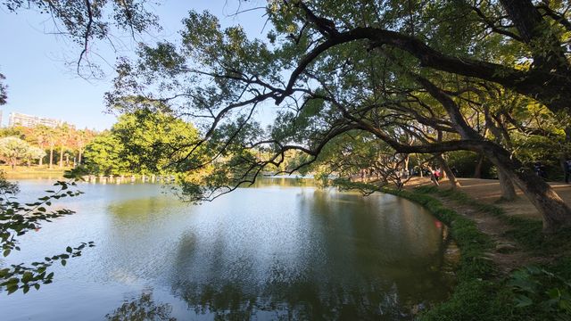 下午四點，來華南植物園，會有驚喜