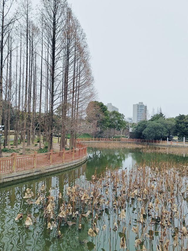 上海周末好去處-黃興公園探尋