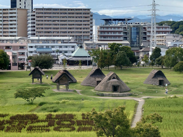 Toro Park 