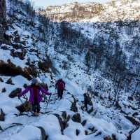 Reaching New Heights: Preikestolen's Majestic Views