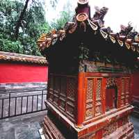 Capturing the Forbidden City in the Rain