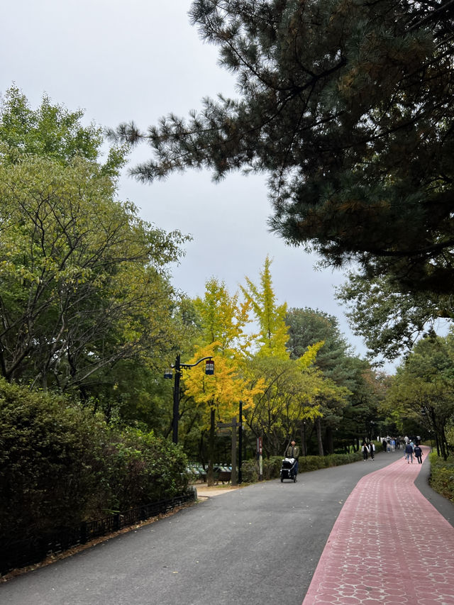 서울 근교 단풍, 은행나무 명소 추천 ‘행주산성‘