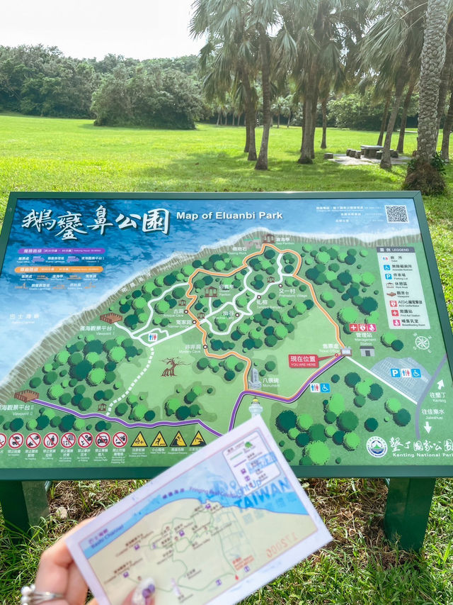 【台湾】ヤシの木がまるでハワイのような公園と灯台